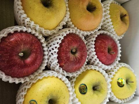 【食べ比べ】青森県産3品種詰合せりんご約5㎏（キャップ14～20個）