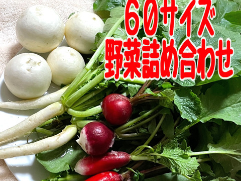 60サイズの野菜セット