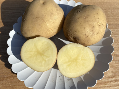 鹿児島県産じゃがいも食べ比べセット デジマ600gシャドー