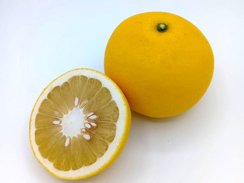 ビッグで上品な甘み！『パール柑』【9.3kg】