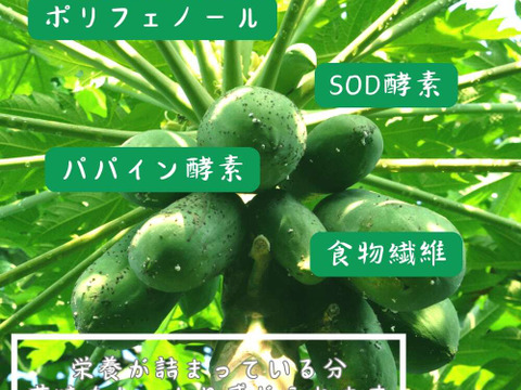 ＼青パパイヤの丸ごとおやつ／宮崎青パパイヤのひんやりピール 50g