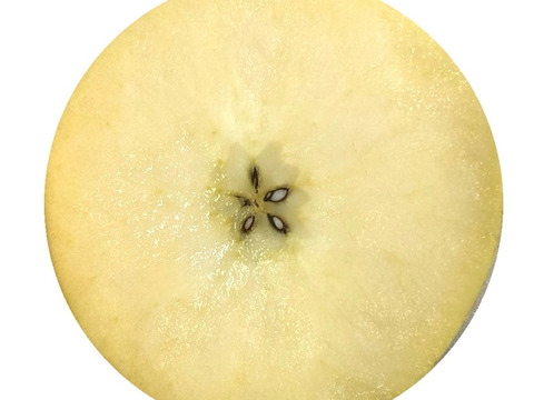 【極小玉・バラ詰め】シナノゴールド💛家庭用約2.7Kg🍏毎日りんご　コスパ抜群　青森県産　数量限定