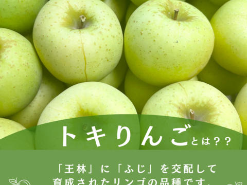 【りんご食べ比べセット】トキ やたか りんご 3kg 採れたて直送 リンゴ 美味しい ギフト 家庭用 美味しいりんご おすすめ 果実 フルーツ ツガル お取り寄せフルーツ お試し 青リンゴ 黄色りんご