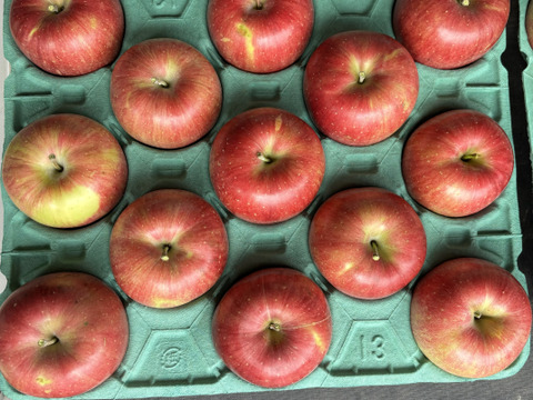 シナノスイート　ご家庭用　【5kg】