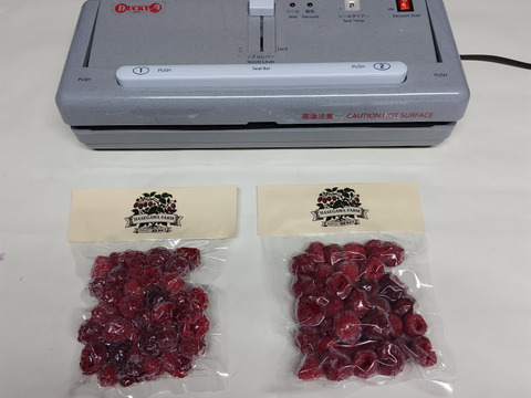 -60°C超低温凍結真空パックラズベリー１００g×５P