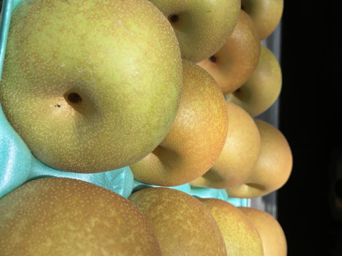 まつどの梨　デパート品より小さめ！完熟幸水　甘さしっかり食べ切りサイズ　ご家庭向け　5キロ18個から22個入り。