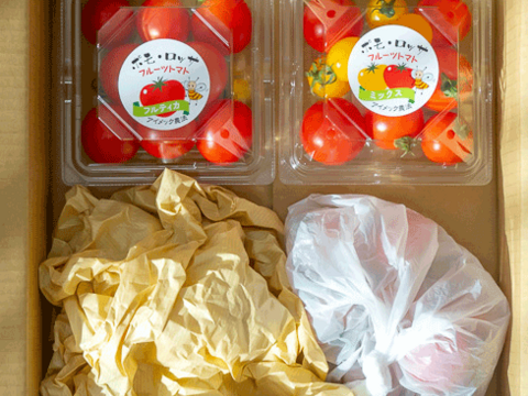 【ミックス】極上濃厚フルーツトマト「ポモロッサ」お試し用（1パック赤＋1パックミックス＋おまけ付）【トマト食べ比べ】