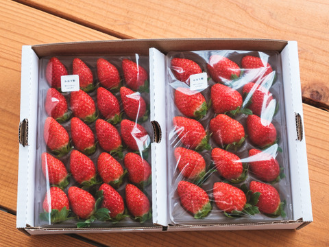 酸味控えめで甘い！かおり野2P　お得なご家庭用！　230g×2p