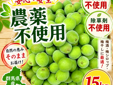 【予約販売】農薬不使用 青梅 15Kg 自家農園 梅酒 梅シロップ 農家直送 収穫後発送