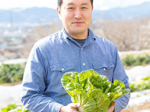 【予約増量♫ 】食べやすさ抜群”みずみずしい”とれたて  そら豆. 少人数の方にオススメ　1000g→1100g  from 名水の里　神奈川県秦野市