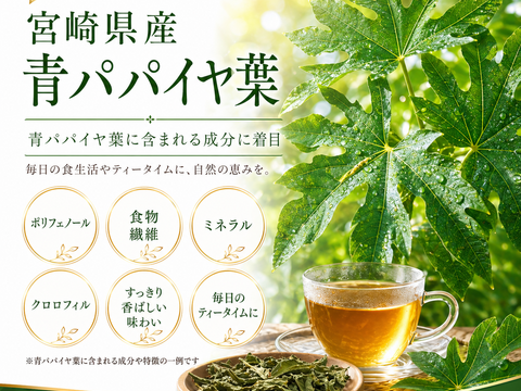 パパイア王子 青パパイヤ葉茶 国産 ノンカフェイン 宮崎県産 農薬不使用 酵素 ポリフェノール 美容茶 健康茶 スーパーフード ティーバッグ 7個入り