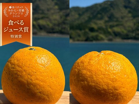 箱込み12kg 紅河内晩柑&甘夏　栽培期間中に農薬、化学肥料不使用 柑橘セット【柑橘食べ比べ】