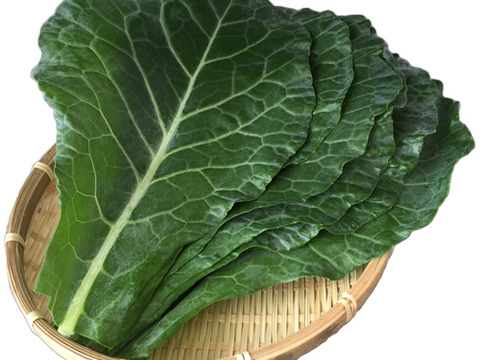 野菜ソムリエ推奨！免疫力を高めるスムージーにおすすめの野菜詰め合わせセット【鮮度抜群！サラダでも食べられる8品目】