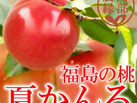 【桃の予約】福島の完熟もも”夏かんろ”2ｋｇ（8～10玉）ギフト・贈答用に【7月下旬お届け予定】