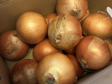 【野菜ソムリエサミット金賞🏆】淡路島玉ねぎ5kg