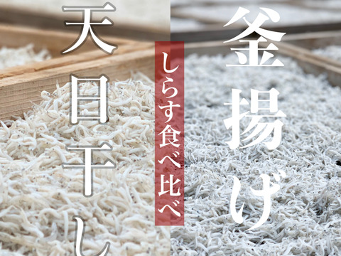 綱元漁師のシラス定期便