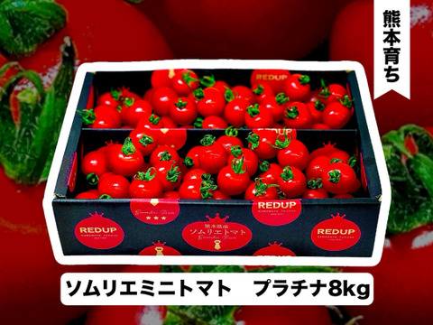 【特別栽培農産物の取得】ソムリエミニトマト　プラチナ８ｋｇ