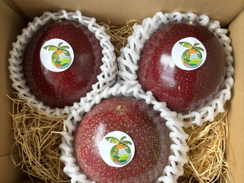 贈答用でもいける‼︎南国のパッションフルーツ（3個）