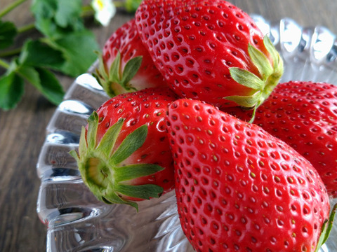 プチ豪華ないちごの食べ比べセット
スカイベリー・とちおとめ・とちあいか・恋みのり