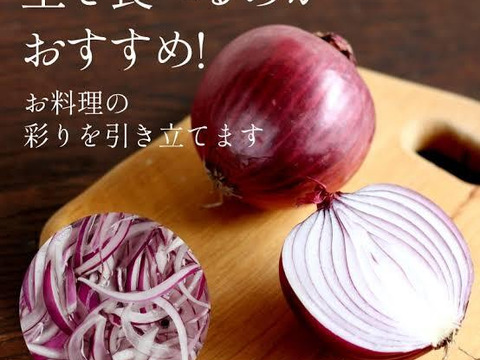 令和8年淡路島産　赤玉ねぎ　最高品種　くれない