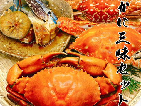 【年末年始】浜名湖かに三昧セット（大）