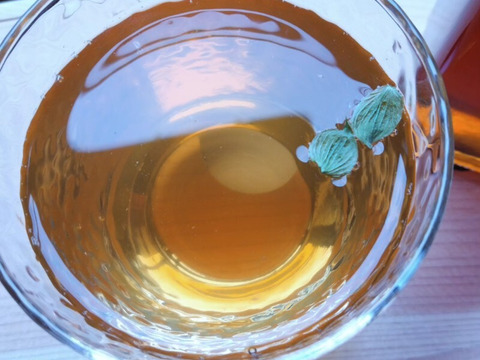 ビールの原料でおなじみのホップをドライにしました！ハーブティーに！