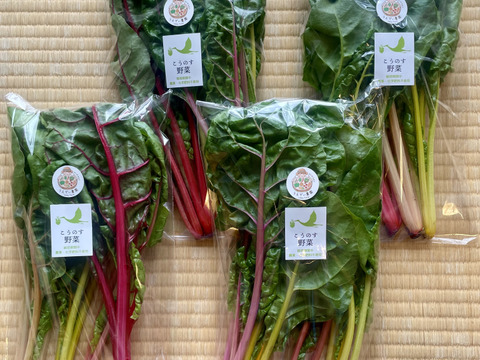 カラフルほうれん草スイスチャード4袋×120g  農薬・化学肥料不使用