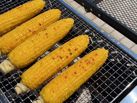 甘さ、サイズともに名前の通り【おおもの】5本