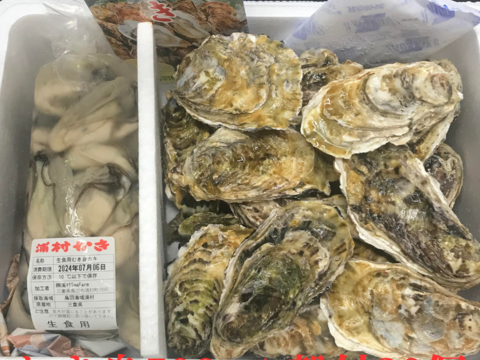 【生牡蠣】【生食用】【贈り物にも】
三重県産 浦村かき むき身500g＋殻付き20個 1箱セット（約2.7kg前後）（5～6人前）
直送 母の日 父の日【冬ギフト】【生で食べれる美味い牡蠣】