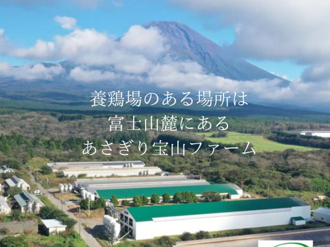 黄身が甘い！富士山麓の放し飼い卵『福が、きた』【10個入×2PC】