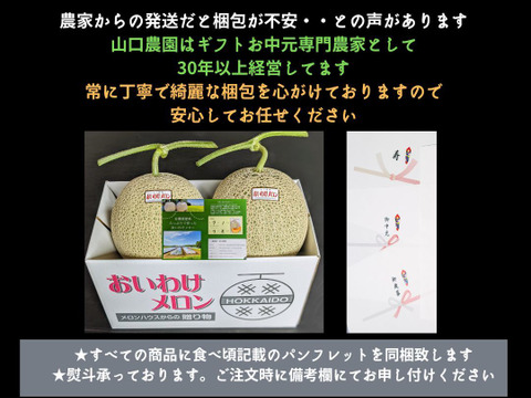 【北海道産】おいわけメロン　糖度16度以上　大箱　８キロ