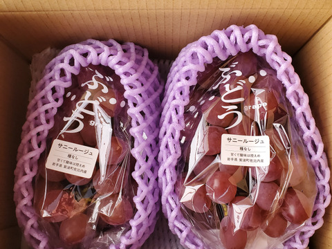 岩手県岩手県産 サニールージュ（種なし）2房入 BOX