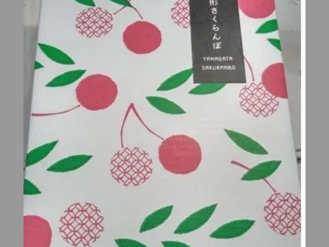 【発送は６月下旬～】さくらんぼ ナポレオン５００ｇ(１～２人用)「昔懐かしいさくらんぼ♪」おうち用