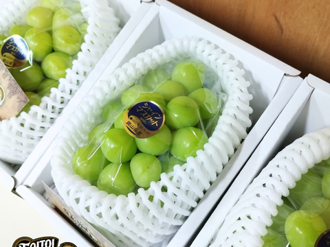 【贈答用】シャインマスカット1房700g大粒ぷりぷり甘～い★8月発送★岡山県産大きめの房【ギフト】農家直送