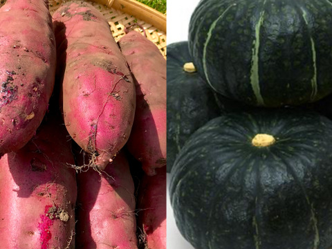 旬のセット🍠🎃【北海道産🌎農薬化学肥料・除草剤不使用】甘いサツマイモ5㎏🍠ホクホク南瓜5㎏のセット🍠🎃