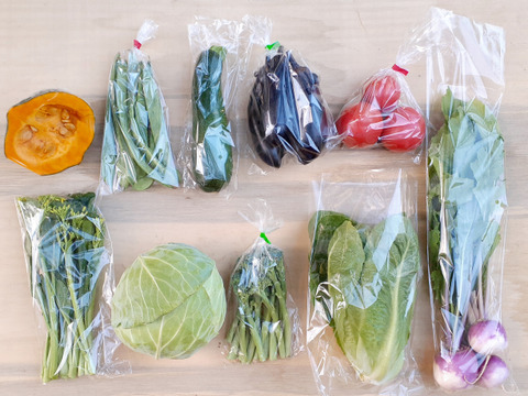 『子育て農家の野菜セット』　miniサイズ　6品目