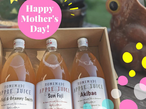 透きとおる蜜色の葉とらずサンふじりんごジュースギフトボックス