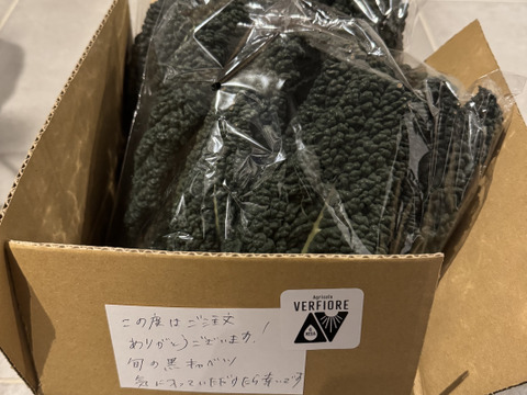 【黒キャベツ】500g  農薬不使用栽培