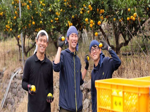 【冬ギフト】糖度保証12度以上！ 超特選有田みかん 船林 14個入り　※11月下旬発送開始