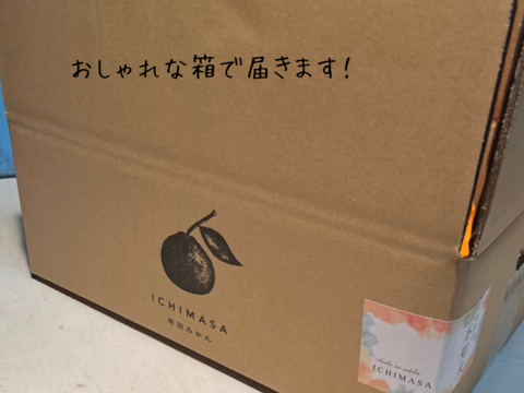不知火　2キロ　家庭用