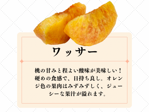 フミです　希少わら敷栽培ワッサー家庭用A5Kg、白桃手土産品質3kg 送料無料】長野県産 ワッサー 3kg 送料無料 ｜小布施屋