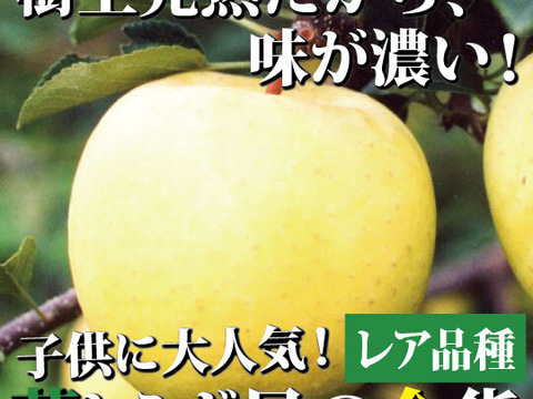 【一度は食べて頂きたい！】約３キロ 和梨みたいな青森県産りんご「樹上完熟葉とらず星の金貨」