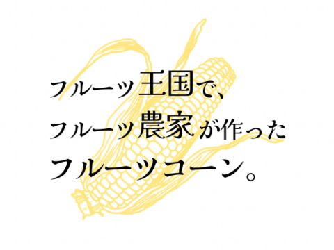 早朝採り！当日発送！皮付き髭付き新鮮ベビーコーン🌽 40本
