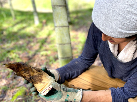 【2026年産】旬の天然タケノコ2kg（富山県氷見産 / ふるさと納税可）/ 栽培期間中、農薬・化学肥料・除草剤不使用［朝掘り採れたて発送］