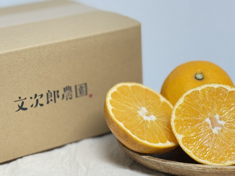 今が旬‼️ぷりぷり食感の小豆島産はっさく5kg