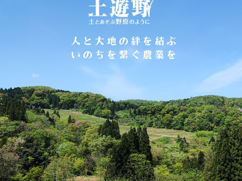 【7周年福袋】【冷凍発送】ミルクアイスクリーム（6個）＆ヤギミルクのシフォンケーキ（12cmホール×2個）セット