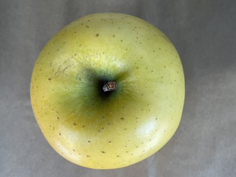 さっぱり系りんご シナノゴールド (B品りんご２㎏)