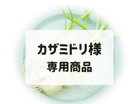 カザミドリ様専用商品