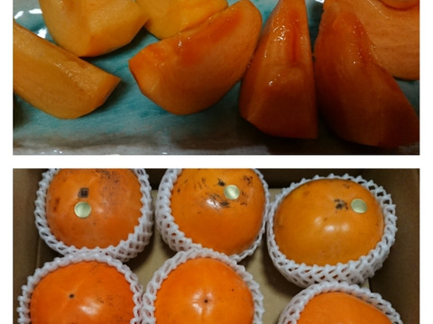 柿の食べ比べ　輝太郎柿と太秋柿のセット（2.5㎏ 8～9玉入り）　小傷あり