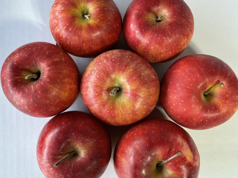 りんごおためし3種セット （B品2㎏）